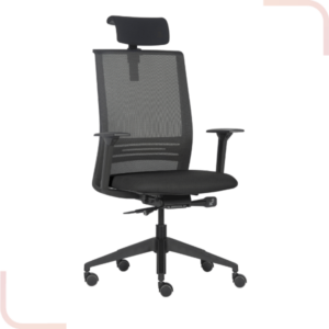 agile presidente